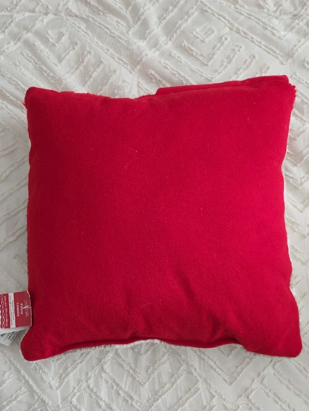Ashland | Santa Face Pillow